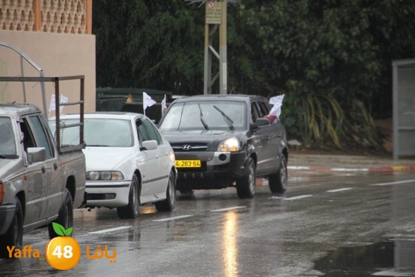 qafela sayarat haiywa (14).JPG